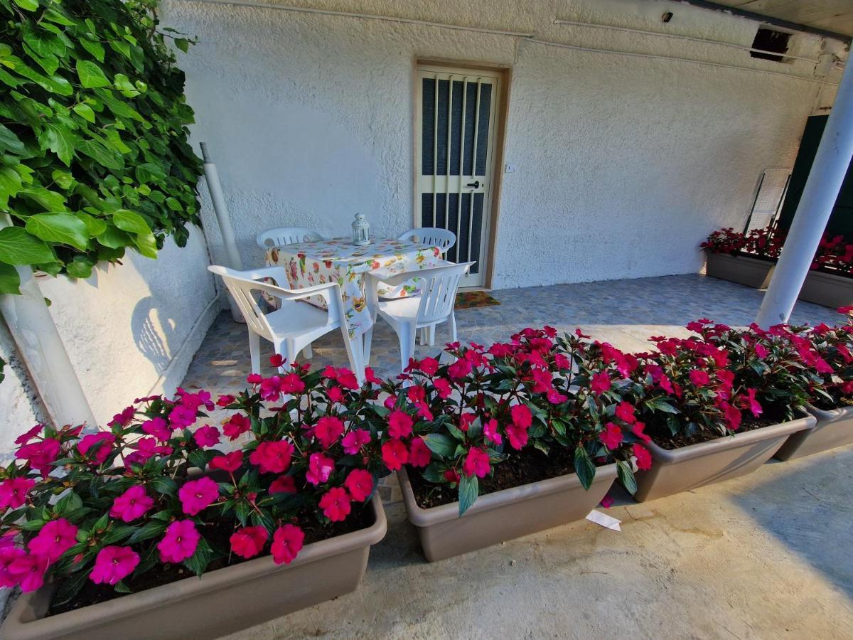 Casa Alba